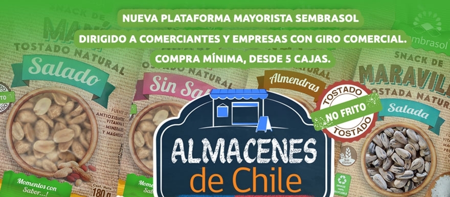 Almacenes de Chile
