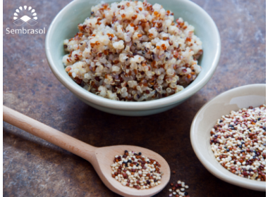 6 Beneficios para tu salud de la Quinoa y como consumirla